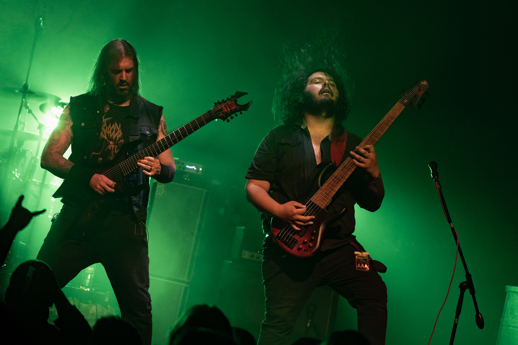 Allegaeon